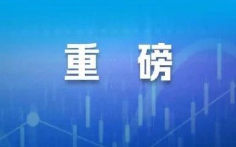 打擊資本市場財務造假，最新政策來了